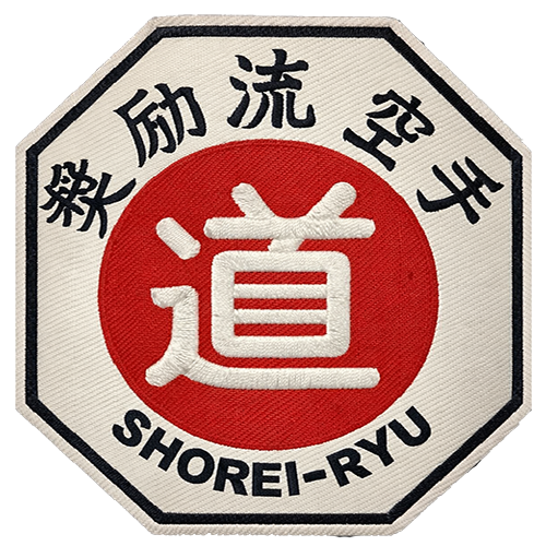 Imagen de Shorei Ryu